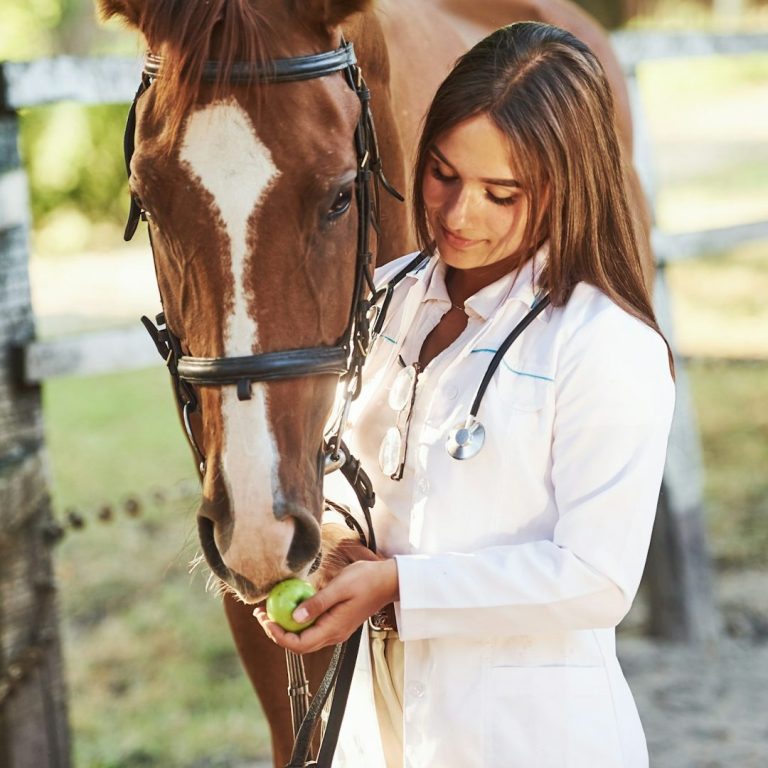 Beste Leistung Premium Schutz in der Pferde OP Versicherung